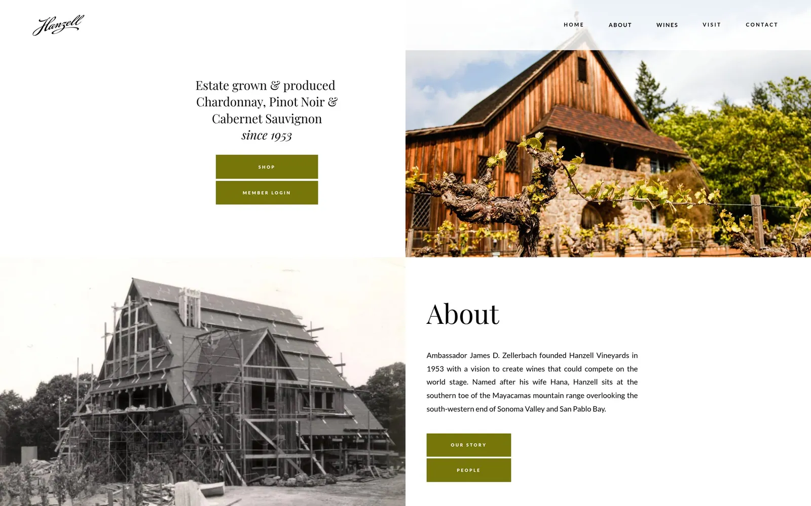 The Hanzell website on a computer