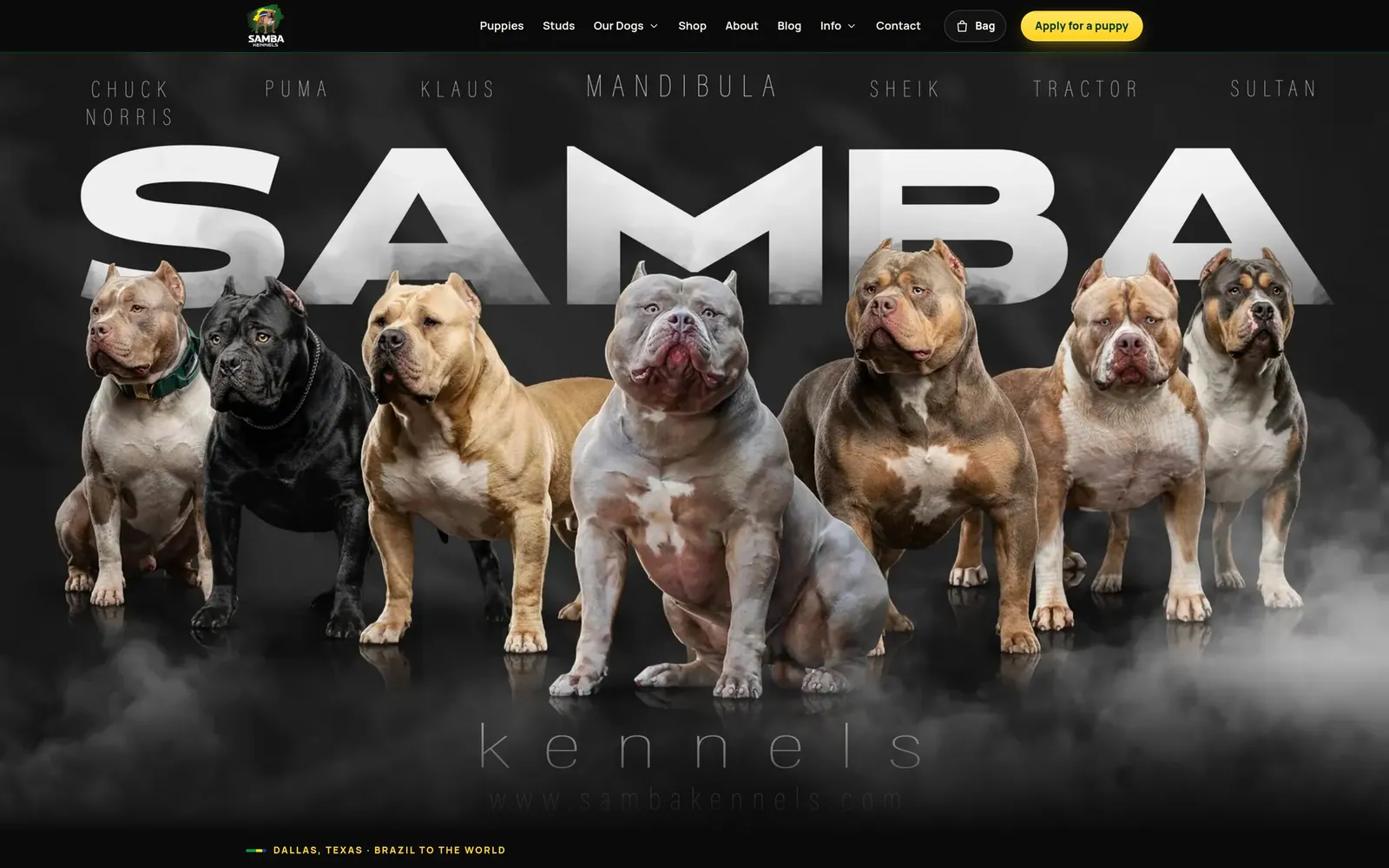 The Samba Kennels website on a computer