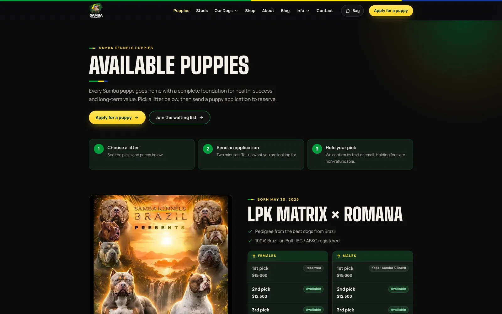 Samba Kennels: Puppies page with the three steps to reserve and each litter's picks, prices and status
