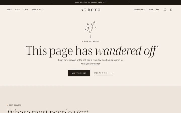 The page not found page of the Shop template